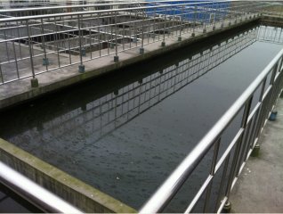 ? 针对农村生活污水治理难题把把脉